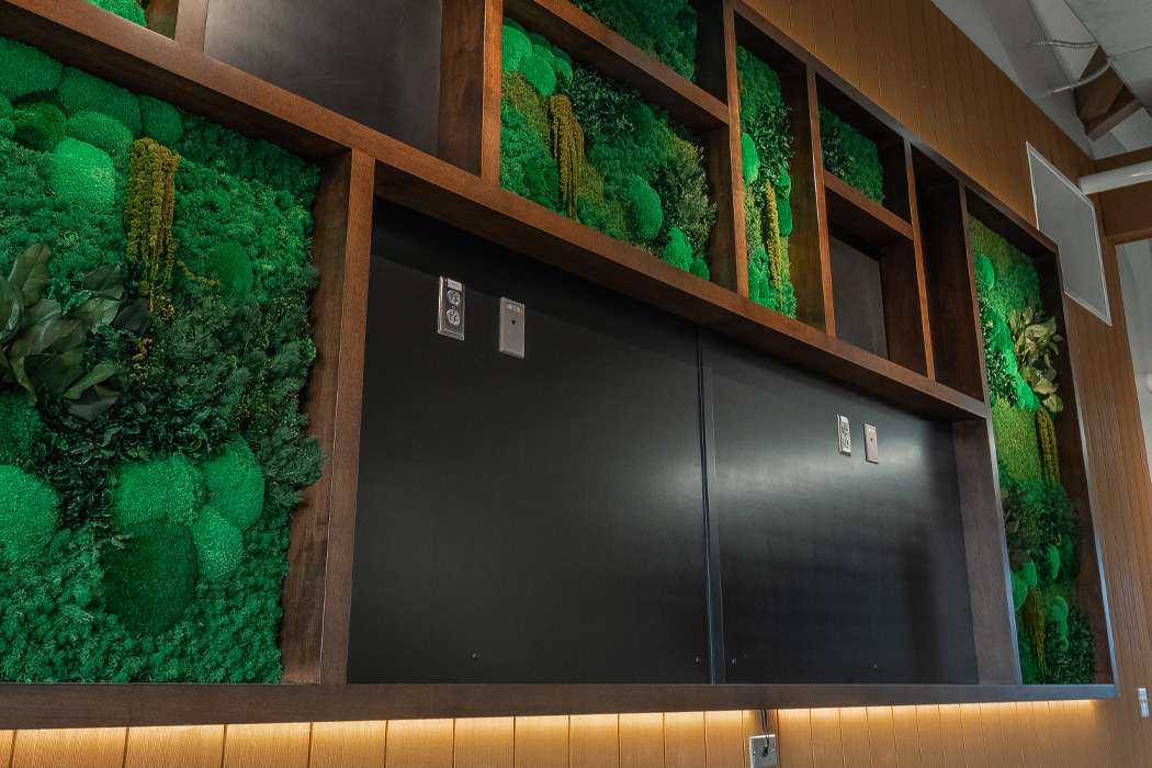 A dark wood wall features a vibrant green moss art installation above a black panel.