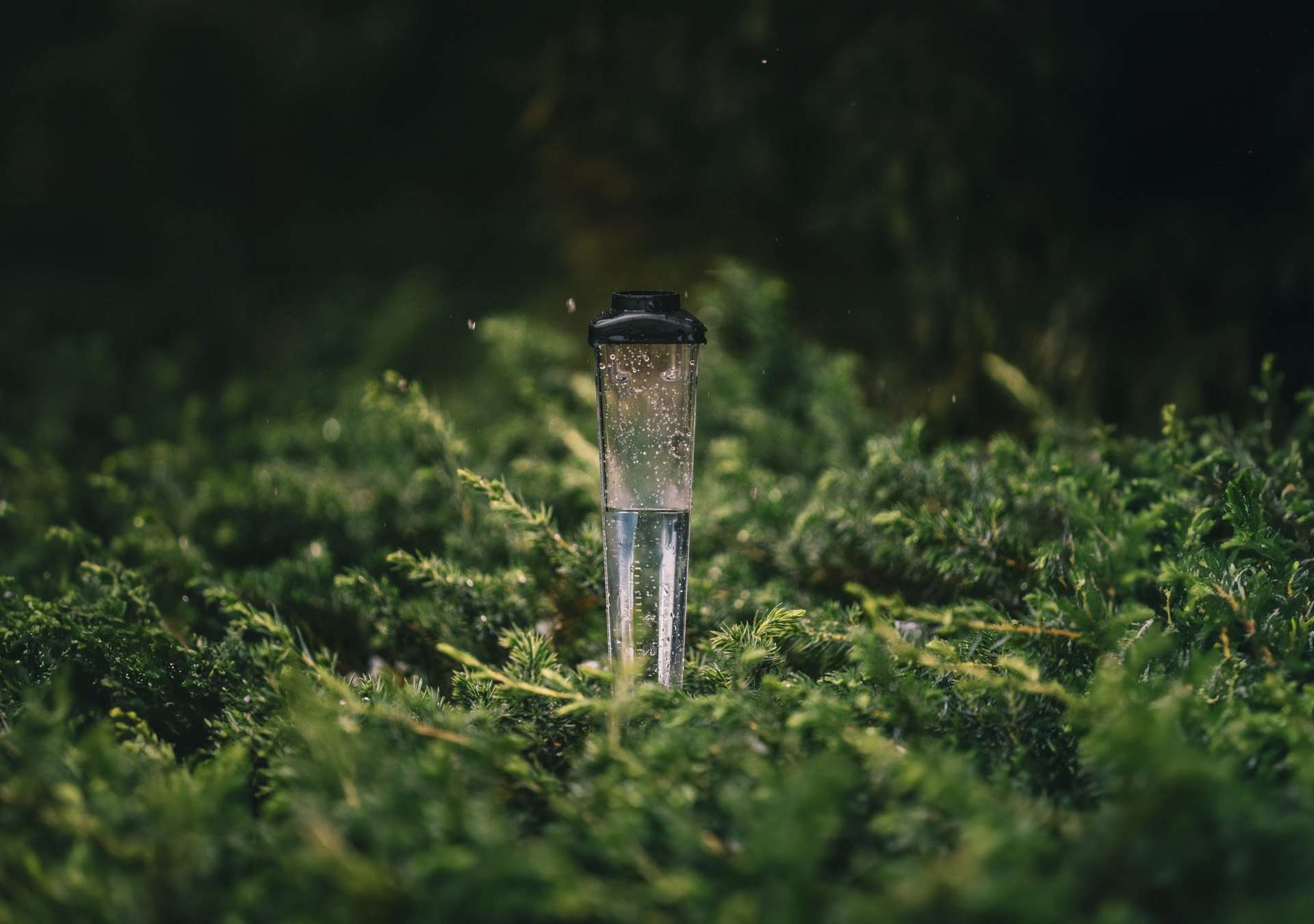 weathering-the-storm-hero Close up of a rain gauge surrounded by greenery
