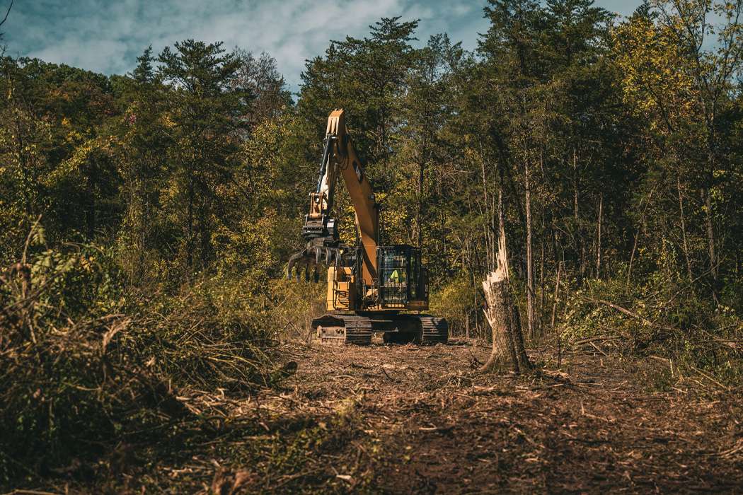 Tree machine surrounded by trees and a tree stump