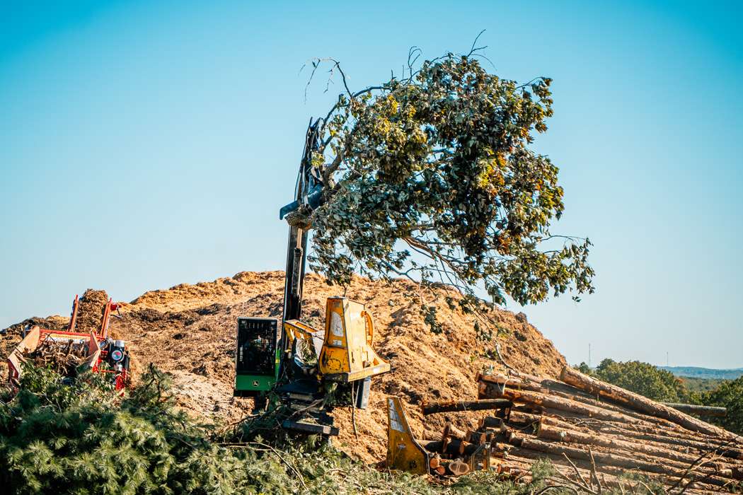 Large clearing equipment processes trees into mulch near a wood pile.