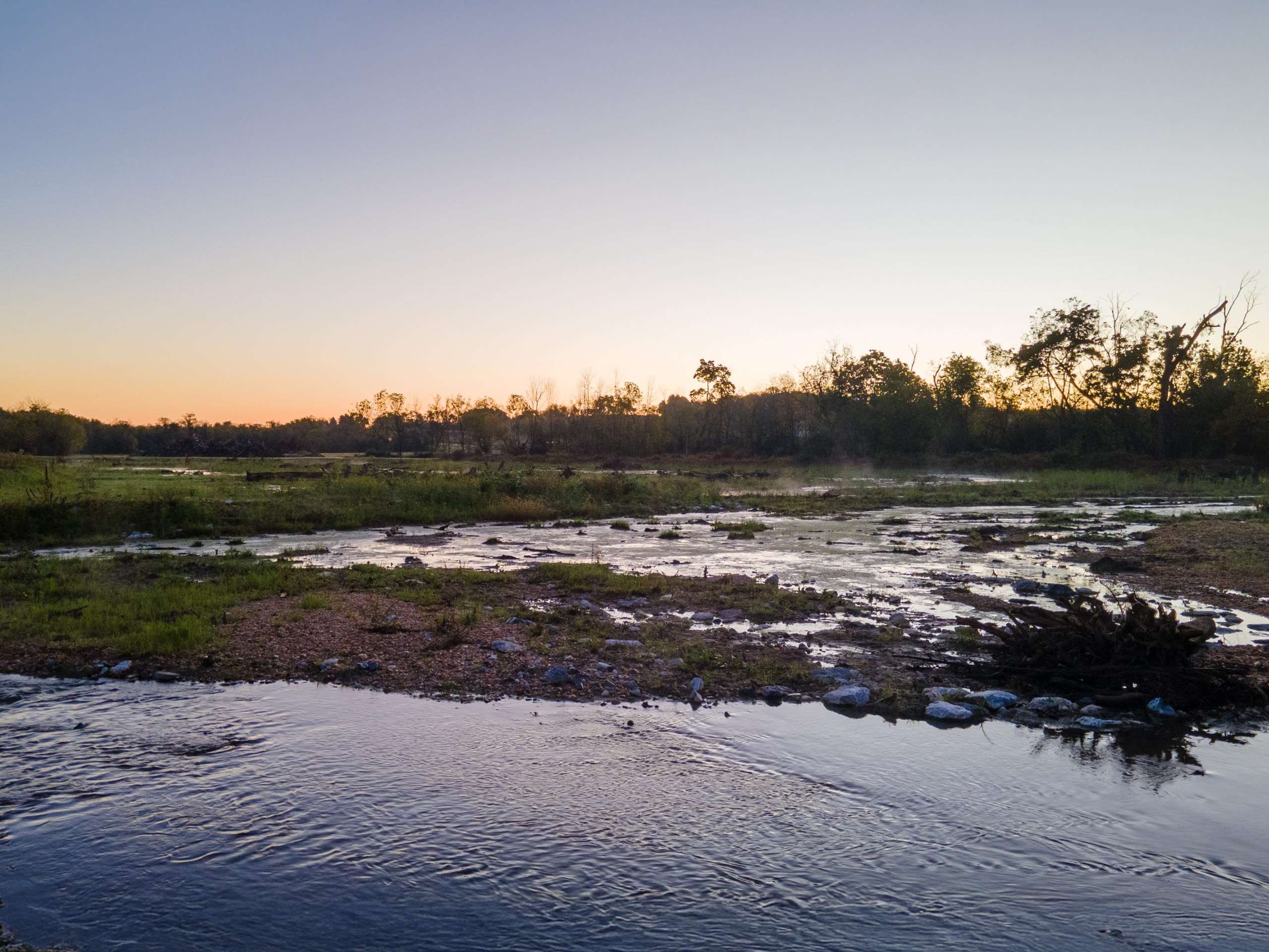 Wetland floodplain at dusk showing aquatic habitat restoration.