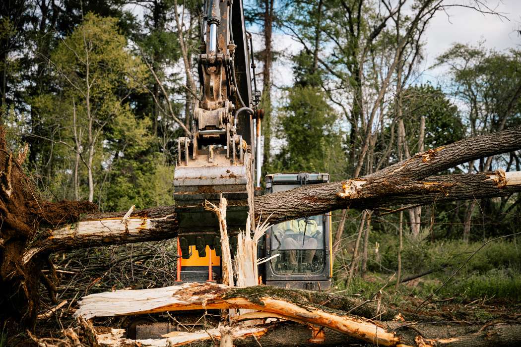 Excavator clearing fallen trees as part of floodplain and stream habitat restoration.