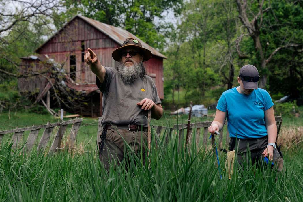 Restoration specialists surveying a wetland near an old barn.