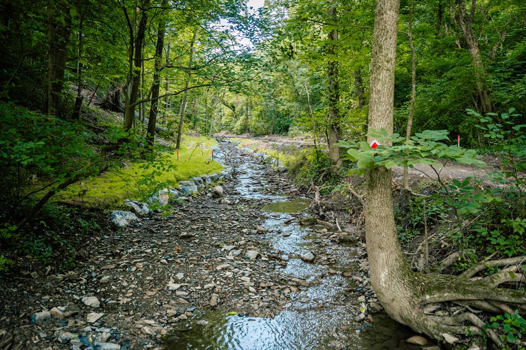 Stream restoration project with stabilized banks and natural vegetation.
