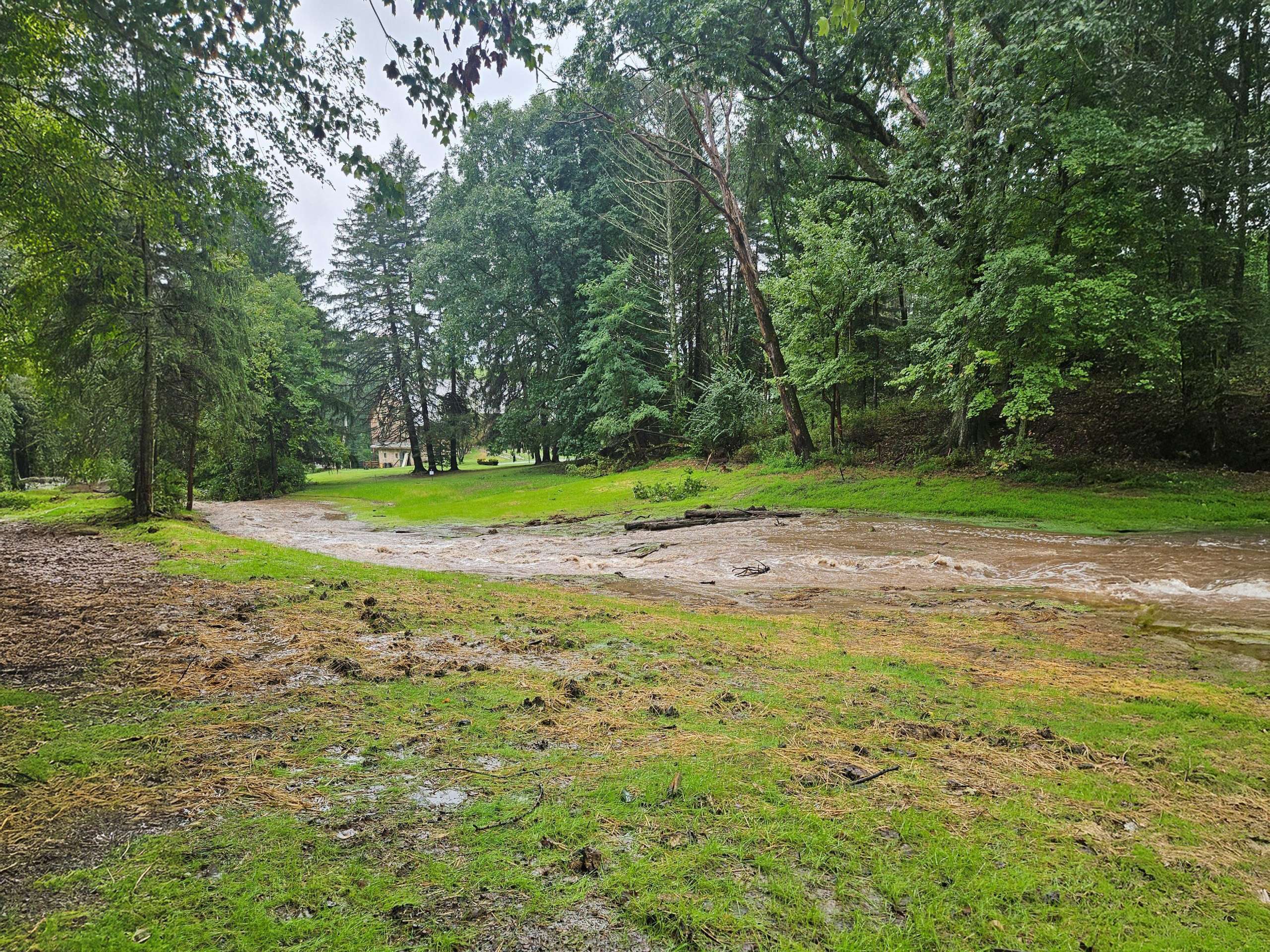 High water flow across restored stream channel in forested floodplain.